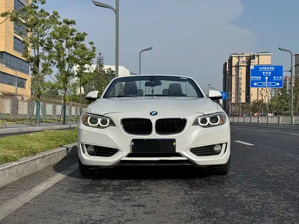 BMW 2 Series 2015