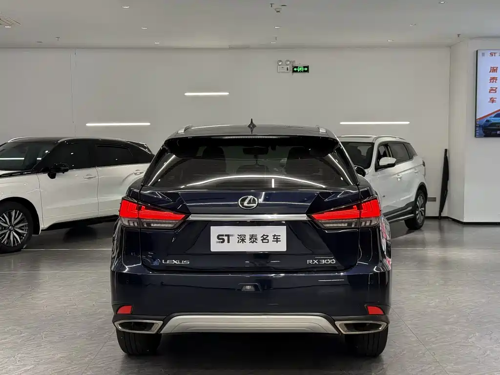 Lexus RX 2022 — фото 10