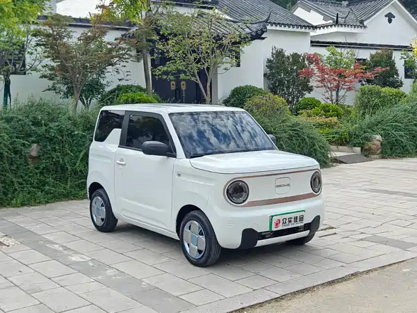Geely Galaxy Panda 2023