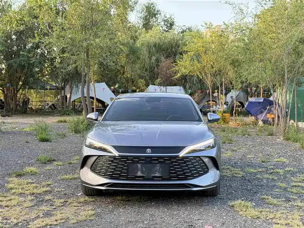 BYD Qin L 2024