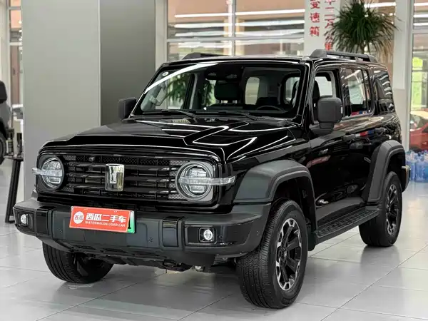 Tank 300 New Energy 2025