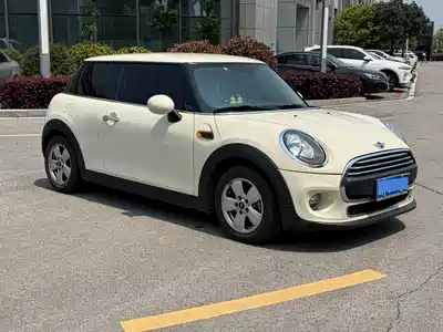 MINI MINI 2014