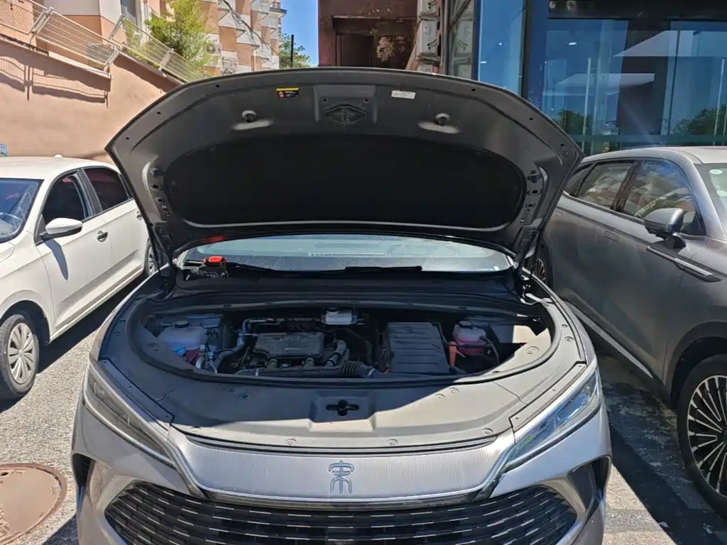 BYD L DM-i 2025 — фото 20