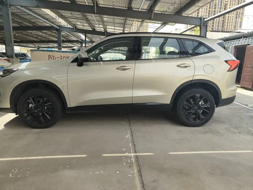 Haval H6 2024 — фото 15