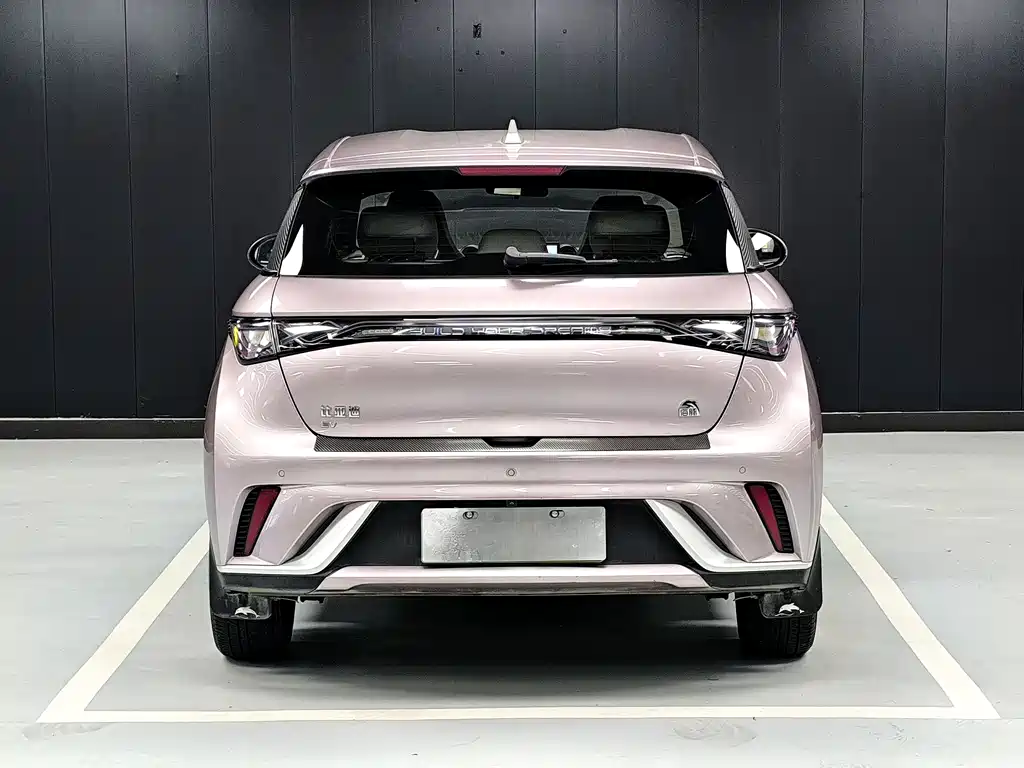 BYD Dolphin 2023 — фото 17