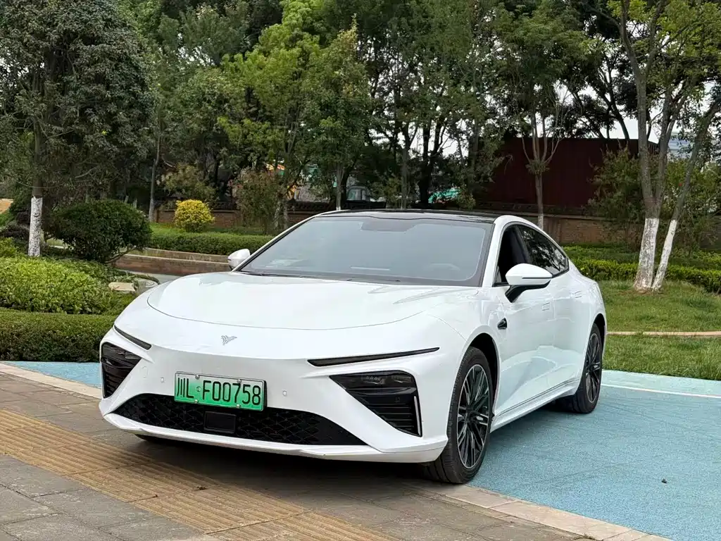 Neta S 2024