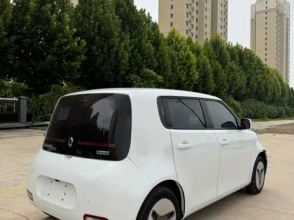 Ora White Cat 2020
