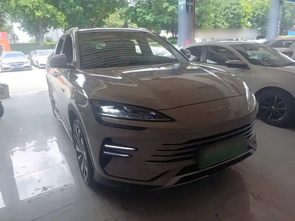 BYD PLUS New Energy 2023 — фото 4