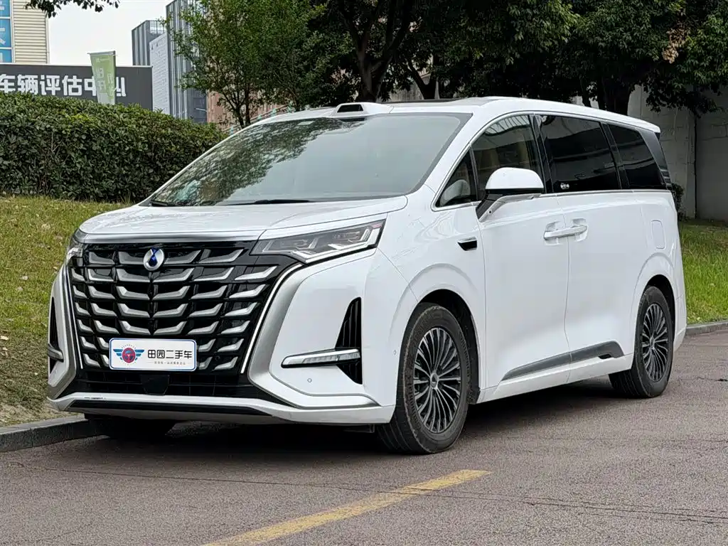 Denza D9 2025 — фото 1