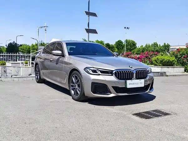 BMW 5 Series New Energy 2021