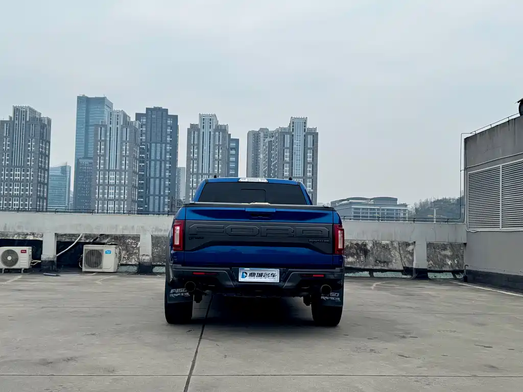 Ford F-150 Raptor 2018 — фото 12