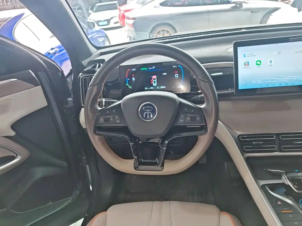 BYD Pro New Energy 2024 — фото 11