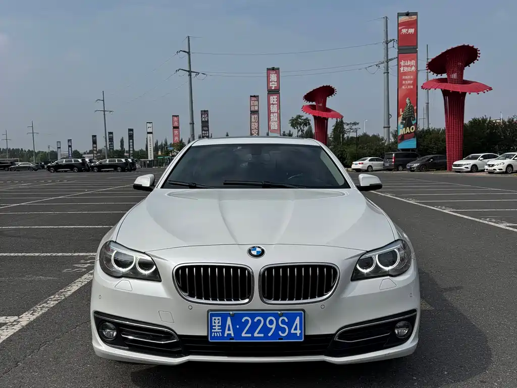 BMW 5 Series 2015