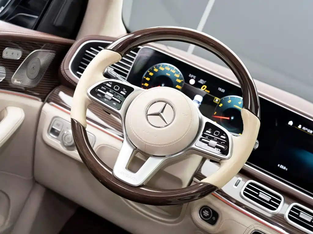 Mercedes-Benz Maybach GLS 2022 — фото 13