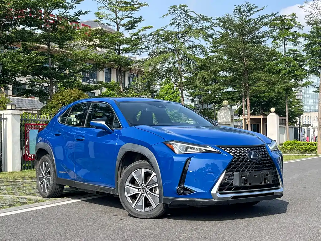 Lexus UX New Energy 2020 — фото 37