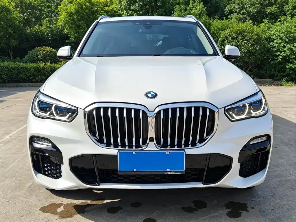 BMW X5 2019 — фото 2