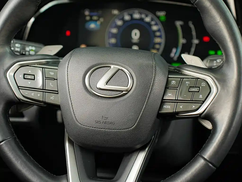 Lexus NX New Energy 2023 — фото 21