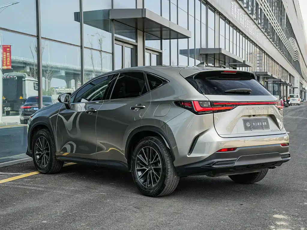 Lexus NX New Energy 2023 — фото 6