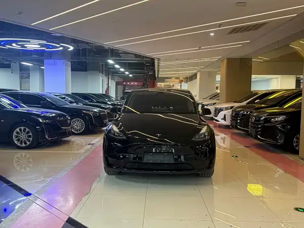 Tesla Model Y 2024