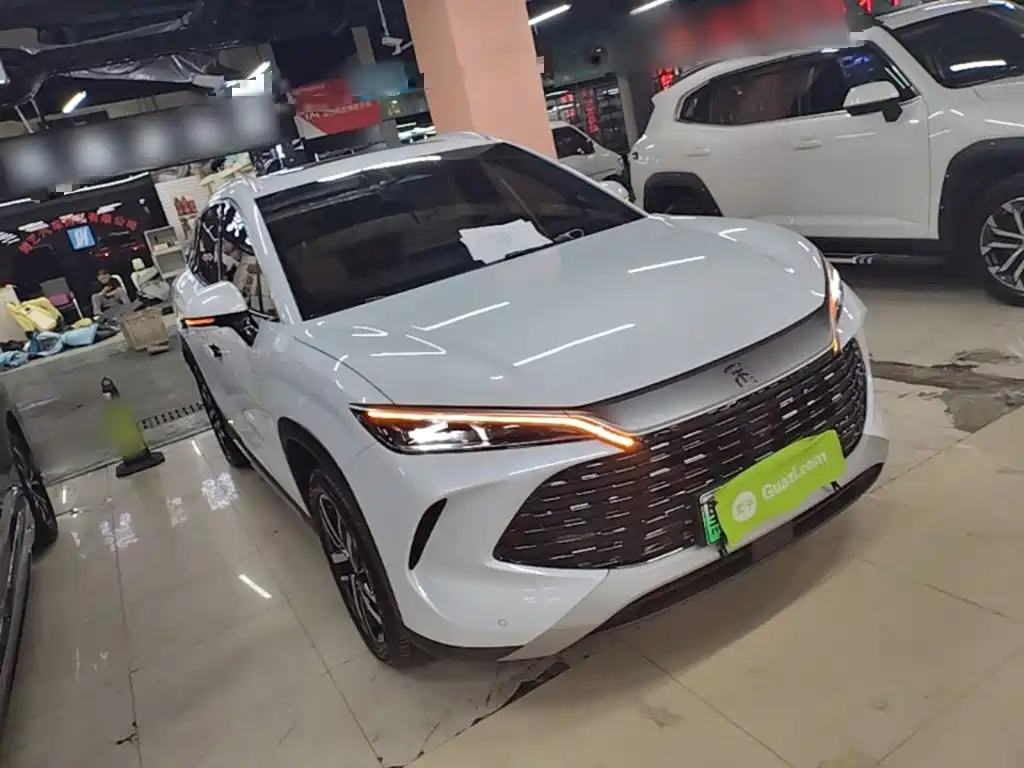 BYD L DM-i 2024 — фото 4