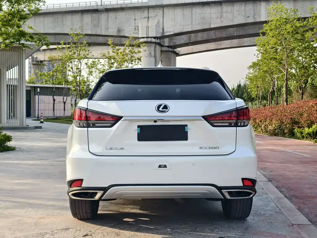 Lexus RX 2020 — фото 5
