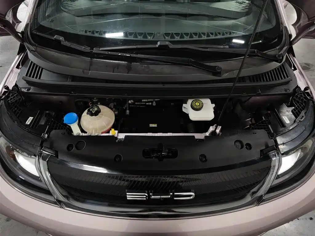 BYD Dolphin 2022