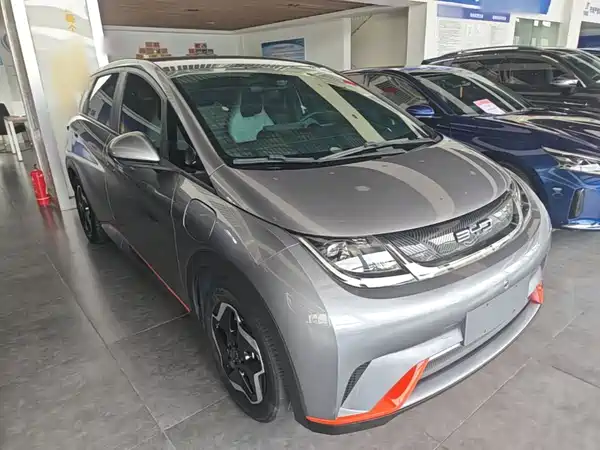 BYD Dolphin 2022