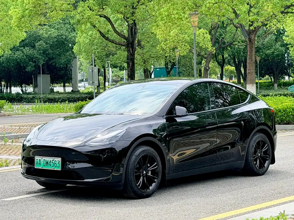 Tesla Model Y 2024 — фото 1
