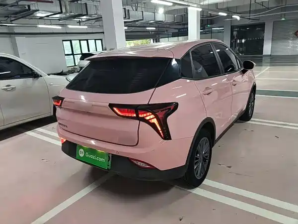Neta V 2021