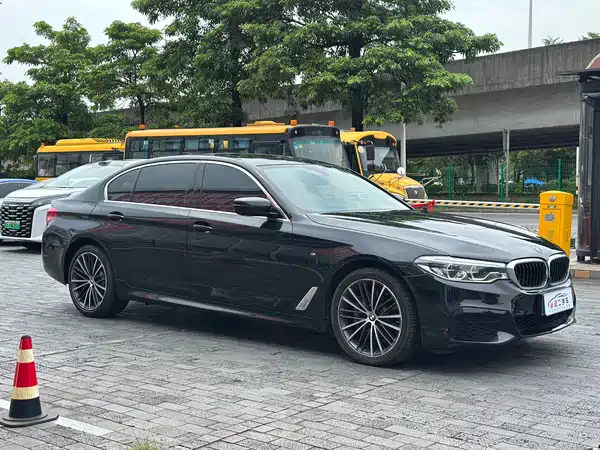 BMW 5 Series 2019