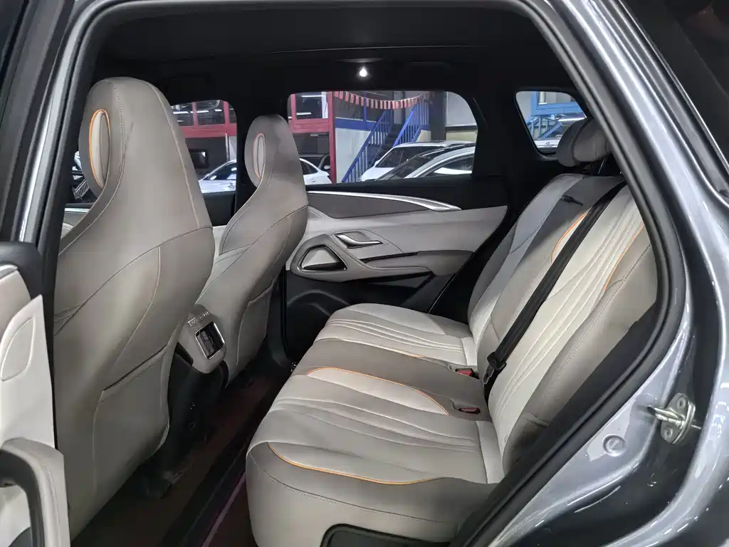 BYD Song Pro New Energy 2024 — фото 9