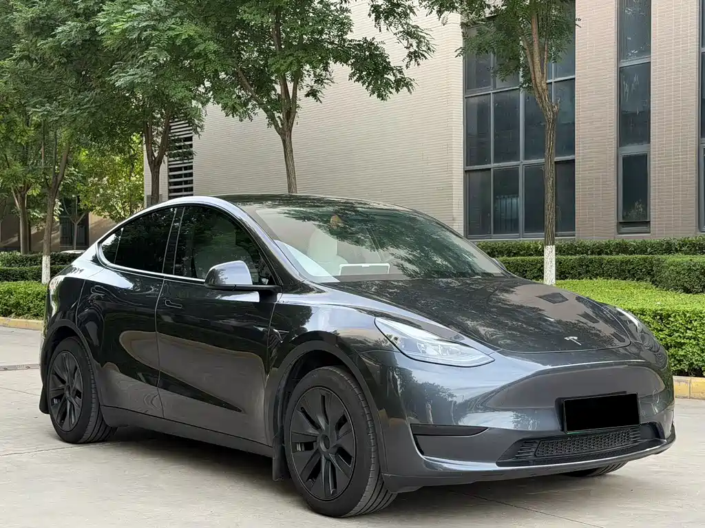 Tesla Model Y 2024 — фото 4