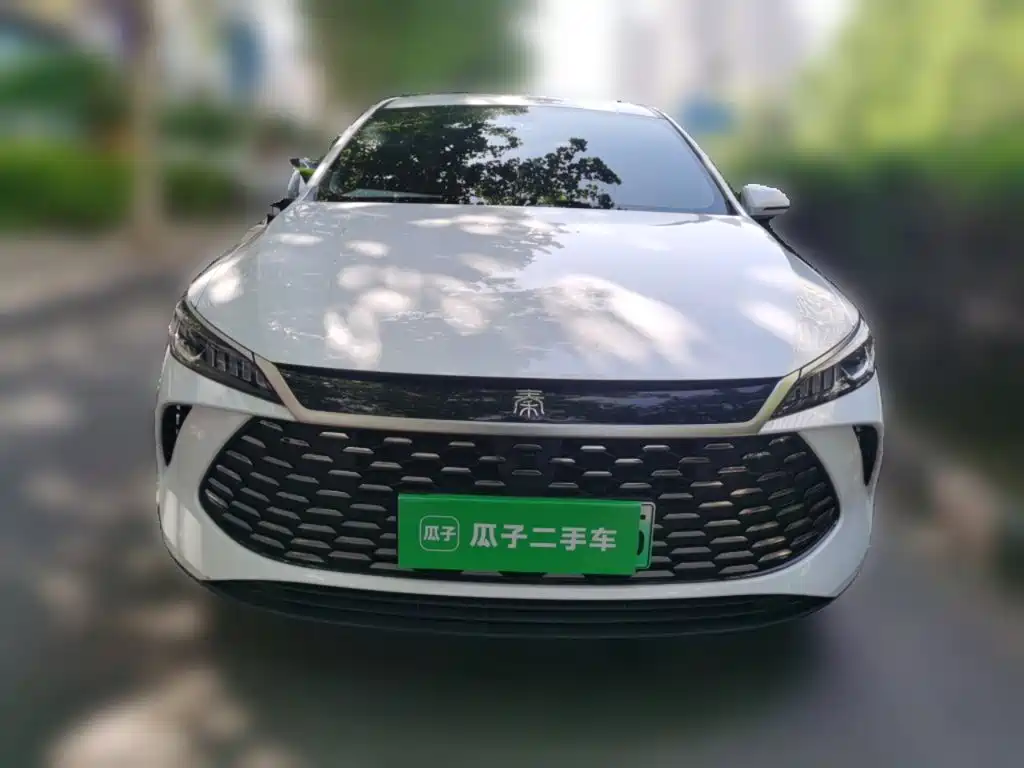 BYD Qin PLUS 2025 — фото 24