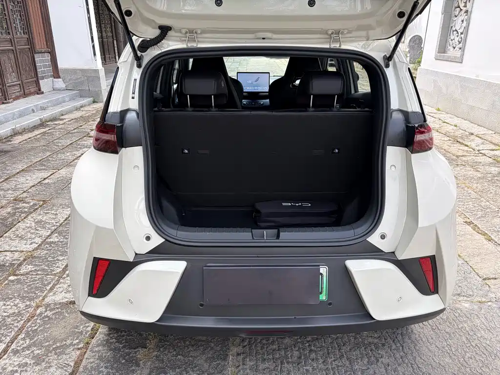 BYD Seagull 2025