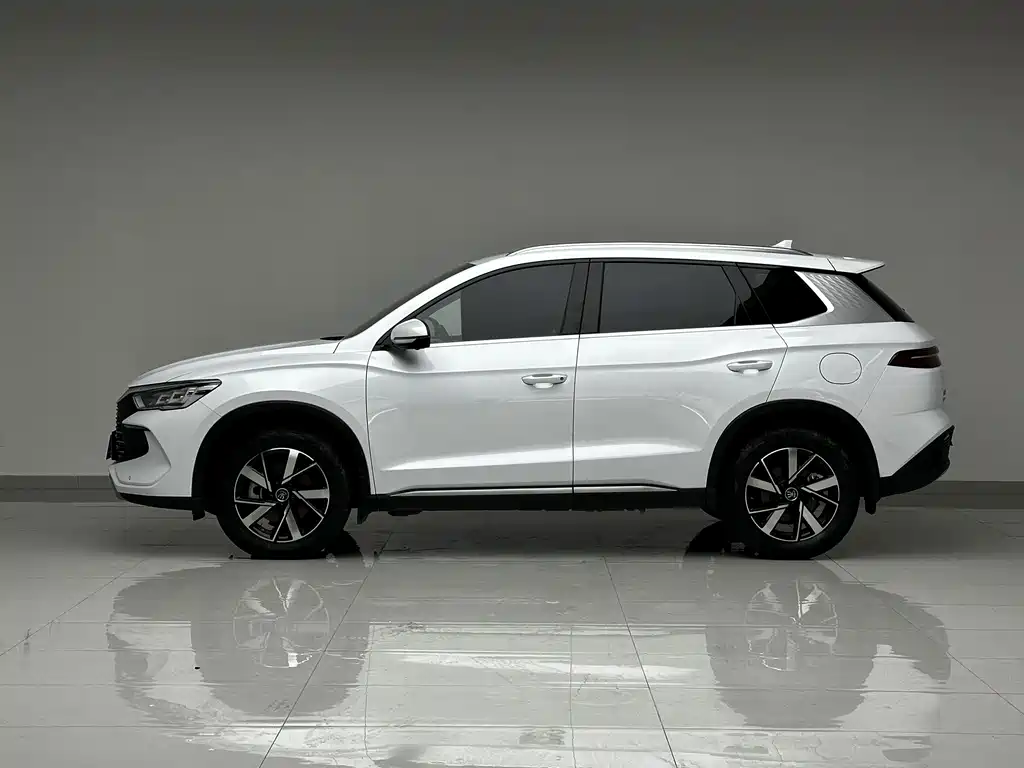 BYD Song Pro New Energy 2024 — фото 8