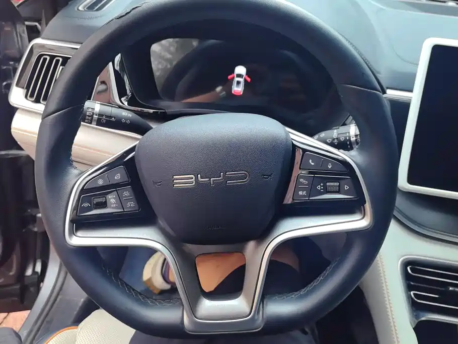 BYD Song PLUS New Energy 2024 — фото 15