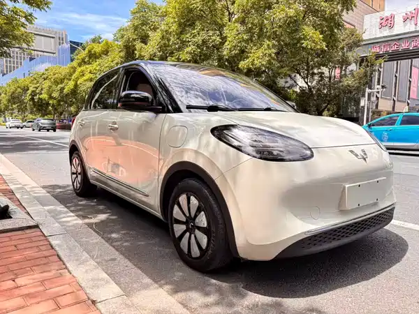 Wuling Bingo 2023