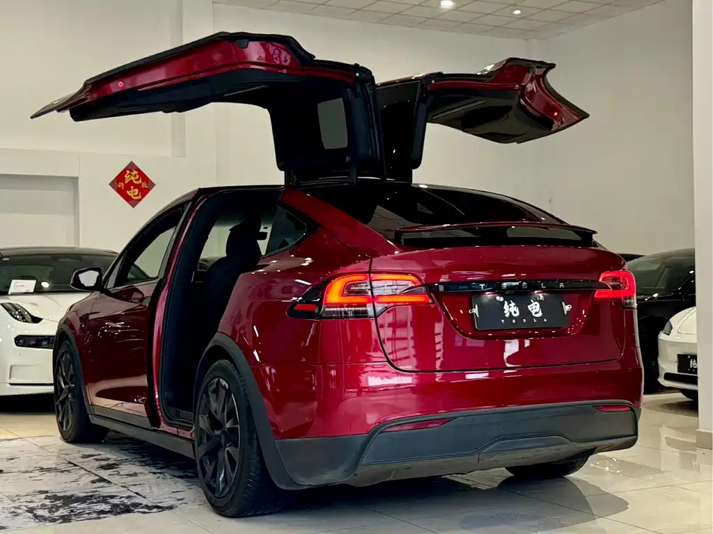 Tesla Model X 2023 — фото 16