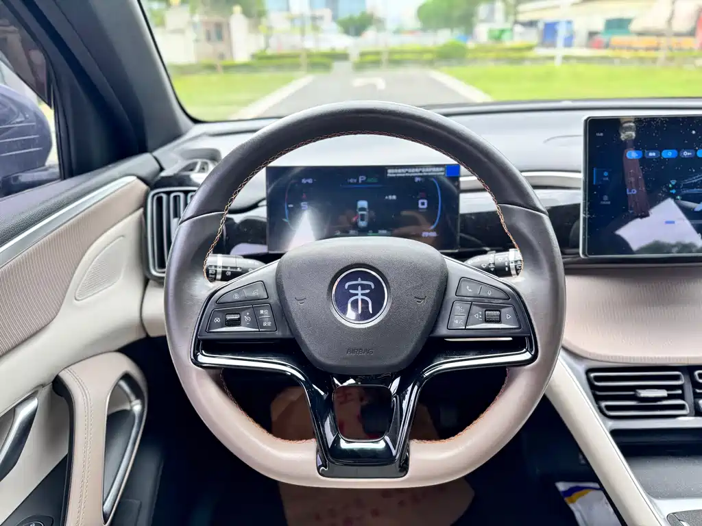 BYD Song Pro New Energy 2024 — фото 9