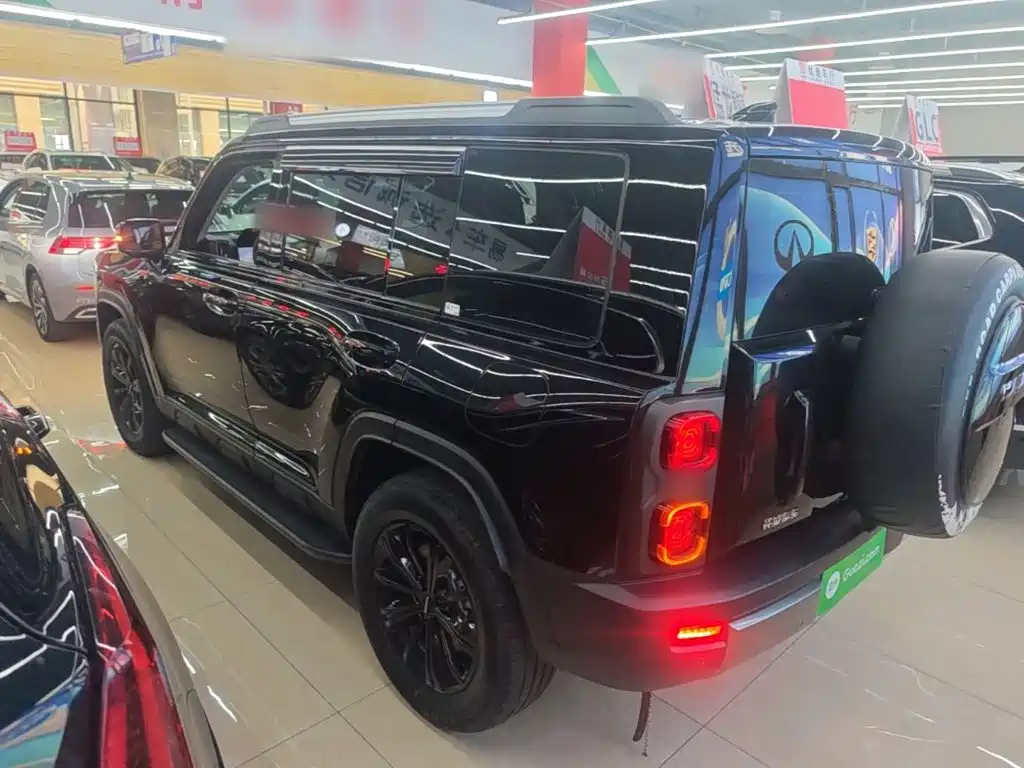 Haval Menglong New Energy 2025