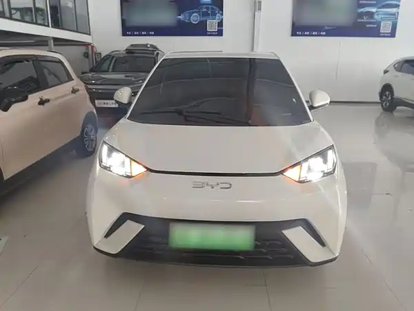 BYD Seagull 2024