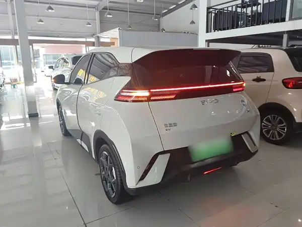 BYD Seagull 2024