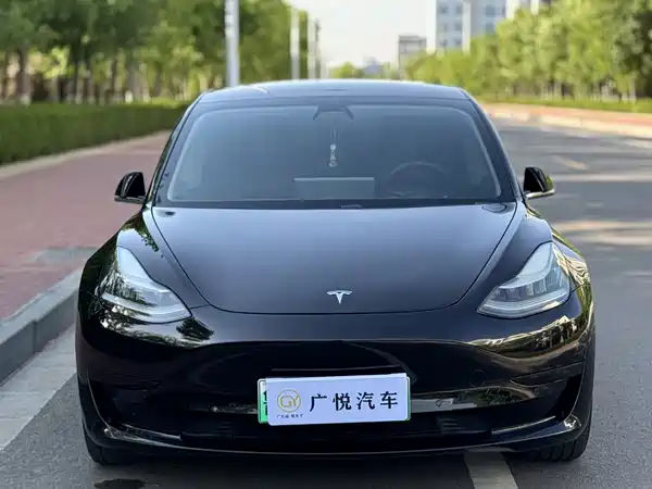 Tesla Model 3 2020