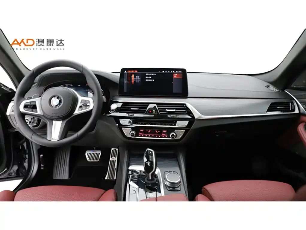 BMW 5 Series 2021