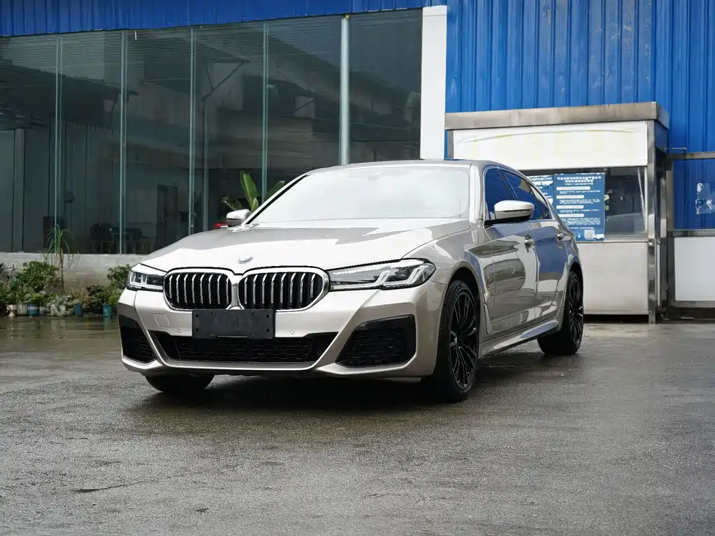 BMW 5 Series 2021