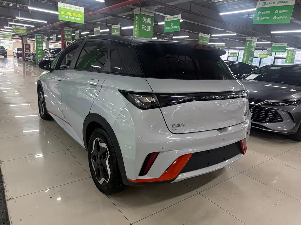 BYD Dolphin 2022