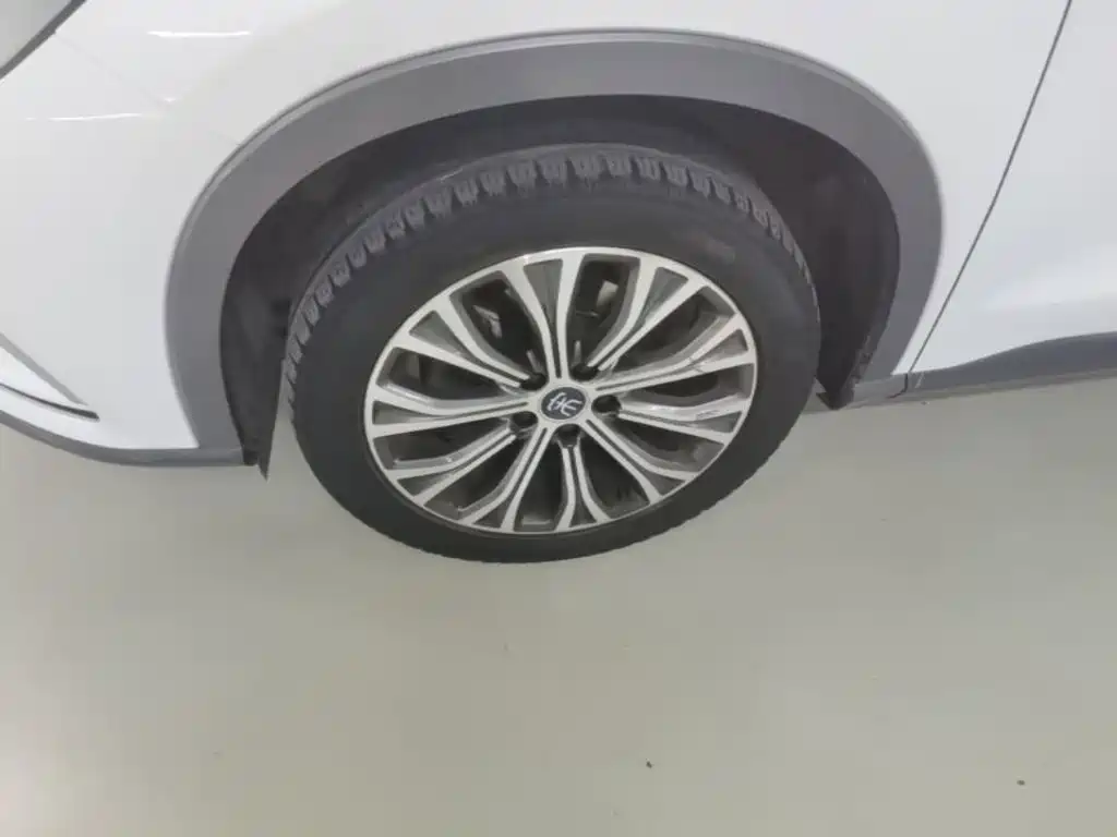 BYD Song Pro New Energy 2020 — фото 23