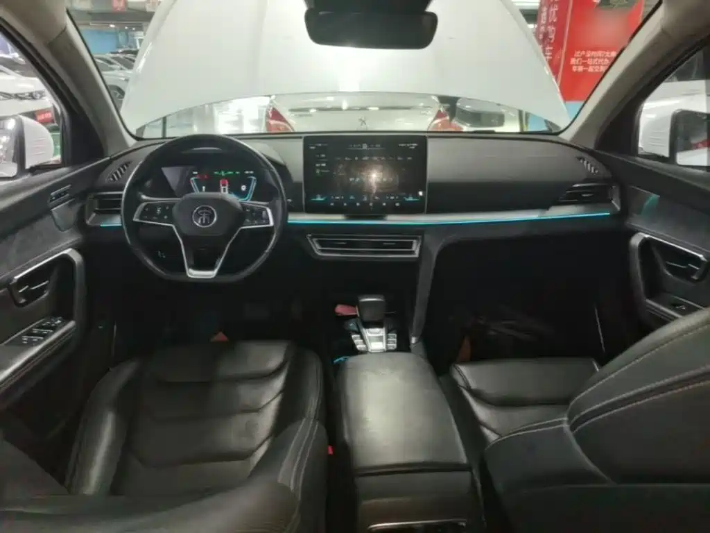 BYD Song Pro New Energy 2020 — фото 10
