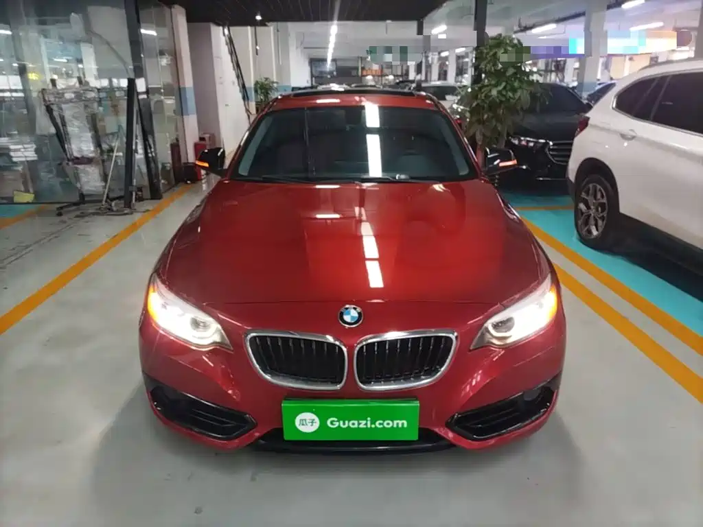 BMW 2 Series 2018