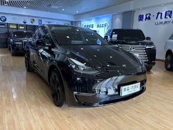 Tesla Model Y 2021